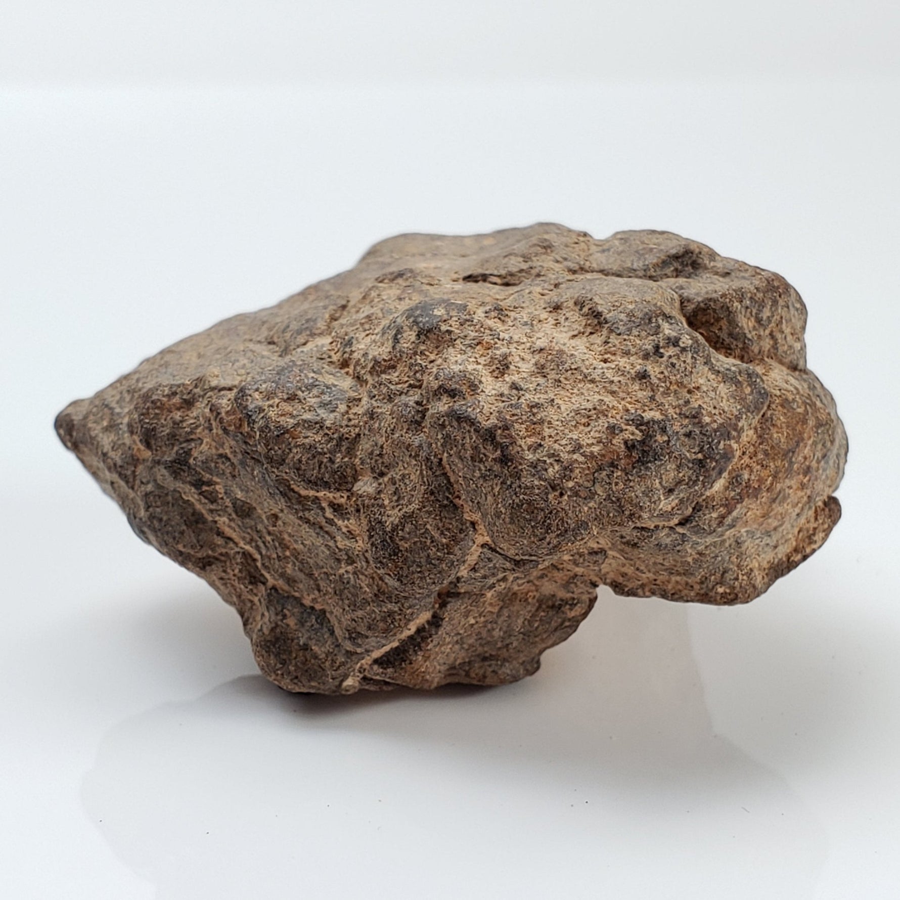  NWA 2965 Meteorite | 63.49 Grams | Individual | EL-Melt Rock | Fossil Paleomet 4