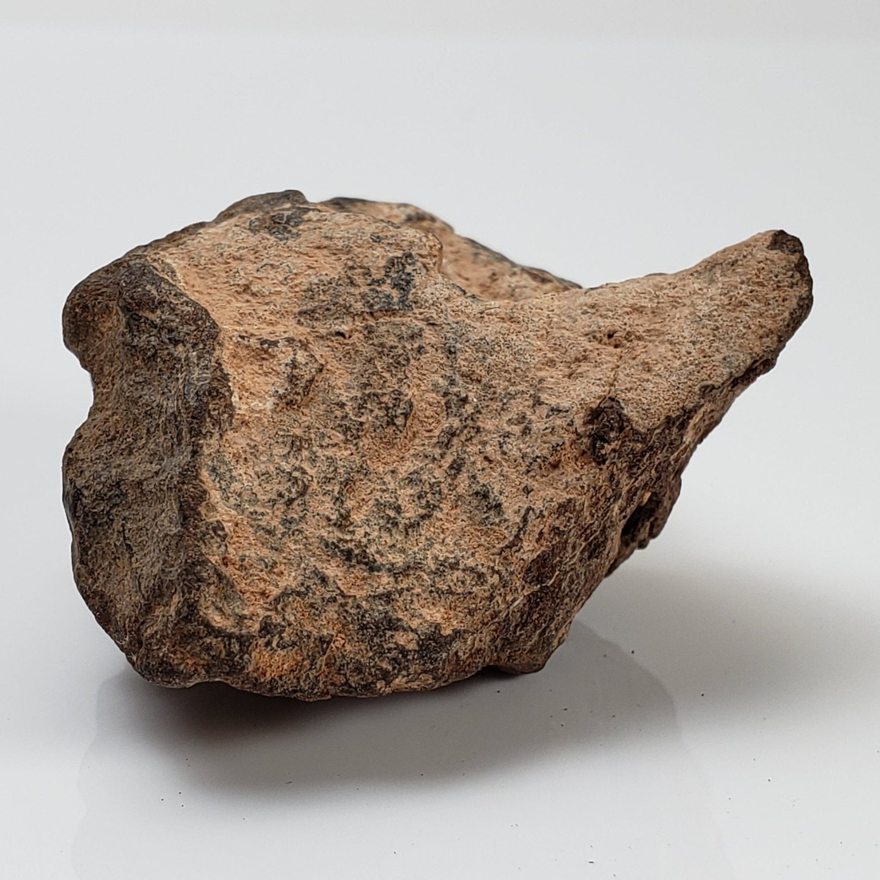  NWA 2965 Meteorite | 63.49 Grams | Individual | EL-Melt Rock | Fossil Paleomet 6