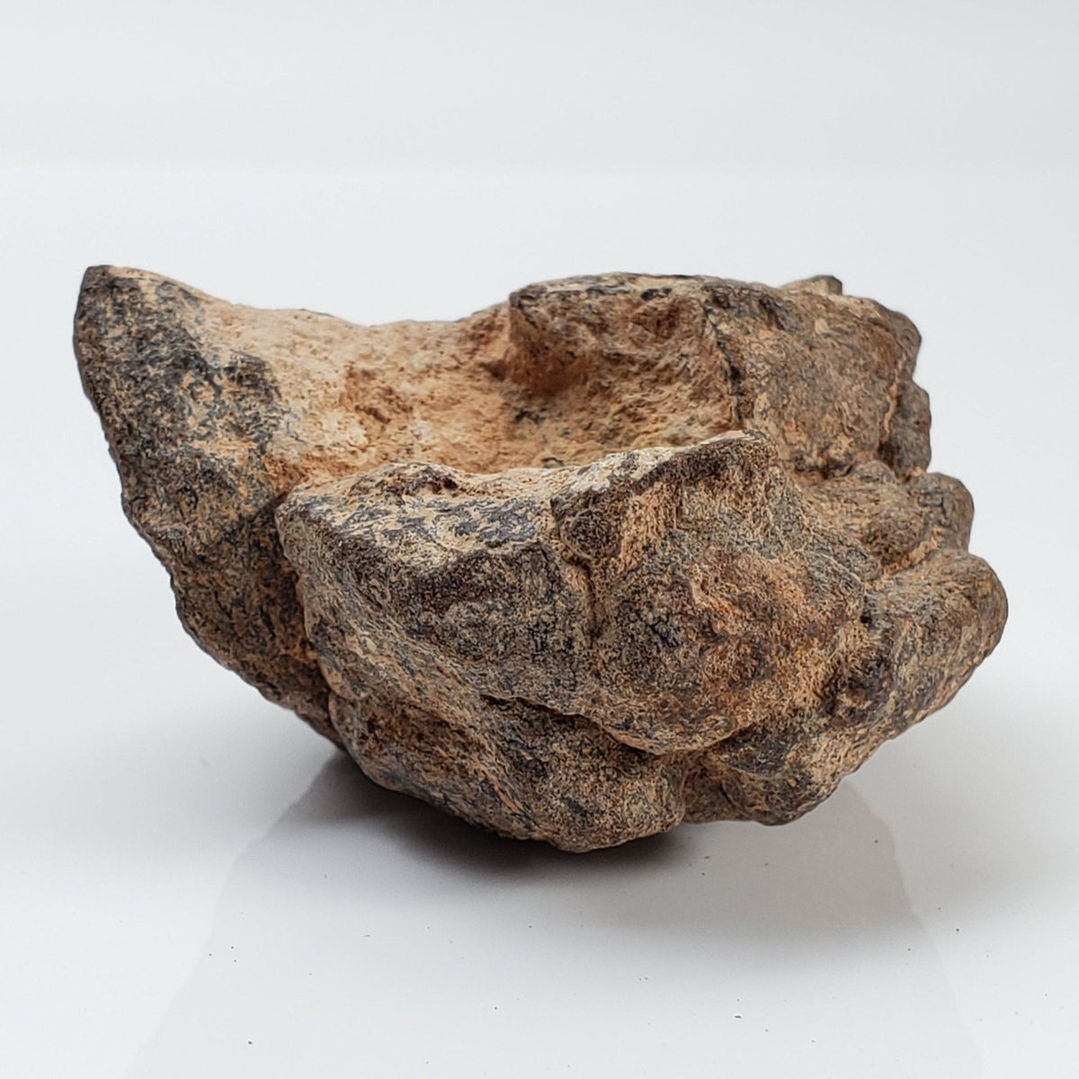  NWA 2965 Meteorite | 63.49 Grams | Individual | EL-Melt Rock | Fossil Paleomet 7