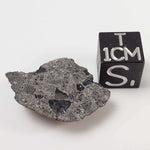  NWA 3117 Meteorite | 2.84 Gr | Rare Crusted Howardite End Cut | Low TKW | Morocco 
