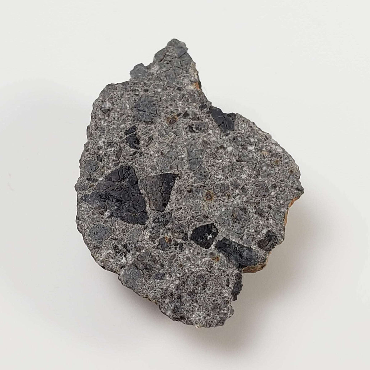  NWA 3117 Meteorite | 2.84 Gr | Rare Crusted Howardite End Cut | Low TKW | Morocco 1