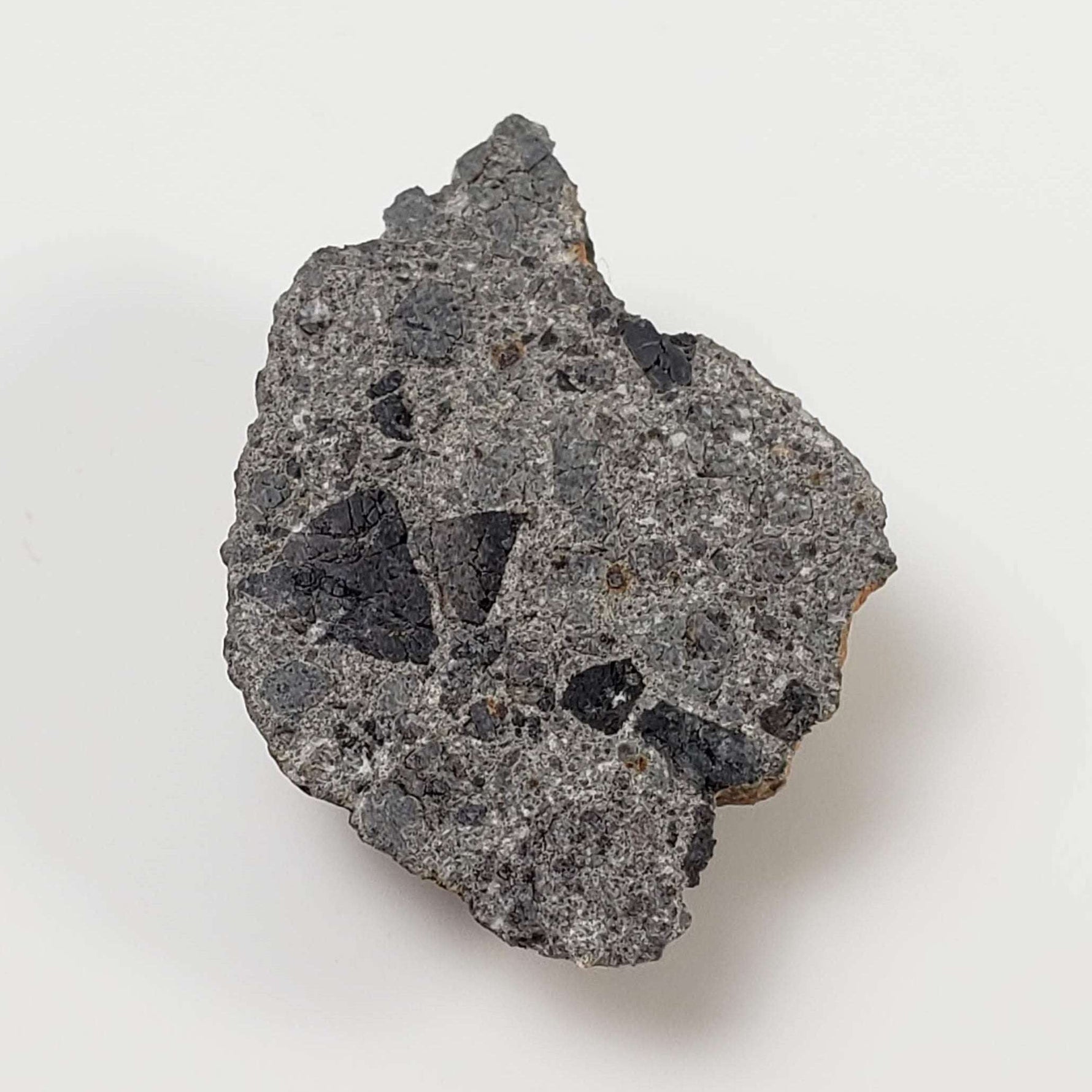  NWA 3117 Meteorite | 2.84 Gr | Rare Crusted Howardite End Cut | Low TKW | Morocco 1