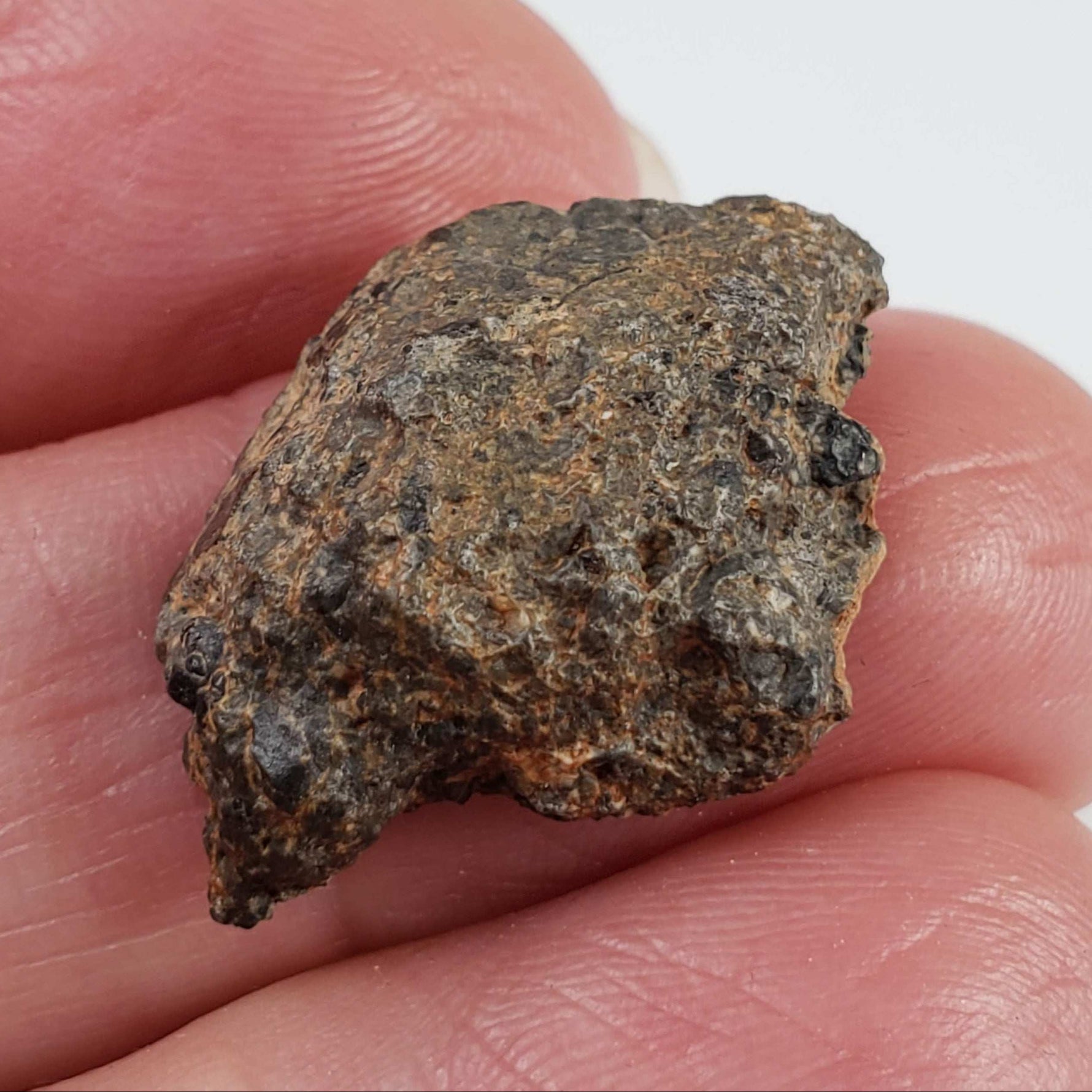  NWA 3117 Meteorite | 2.84 Gr | Rare Crusted Howardite End Cut | Low TKW | Morocco 7