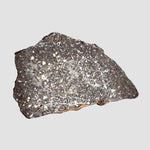  NWA 3133 Meteorite | 2.01 Gr | Slice | CV7 Primitive | One-of-a-kind Rare | Morocco 6