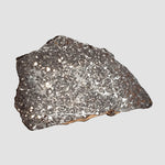  NWA 3133 Meteorite | 2.01 Gr | Slice | CV7 Primitive | One-of-a-kind Rare | Morocco 6