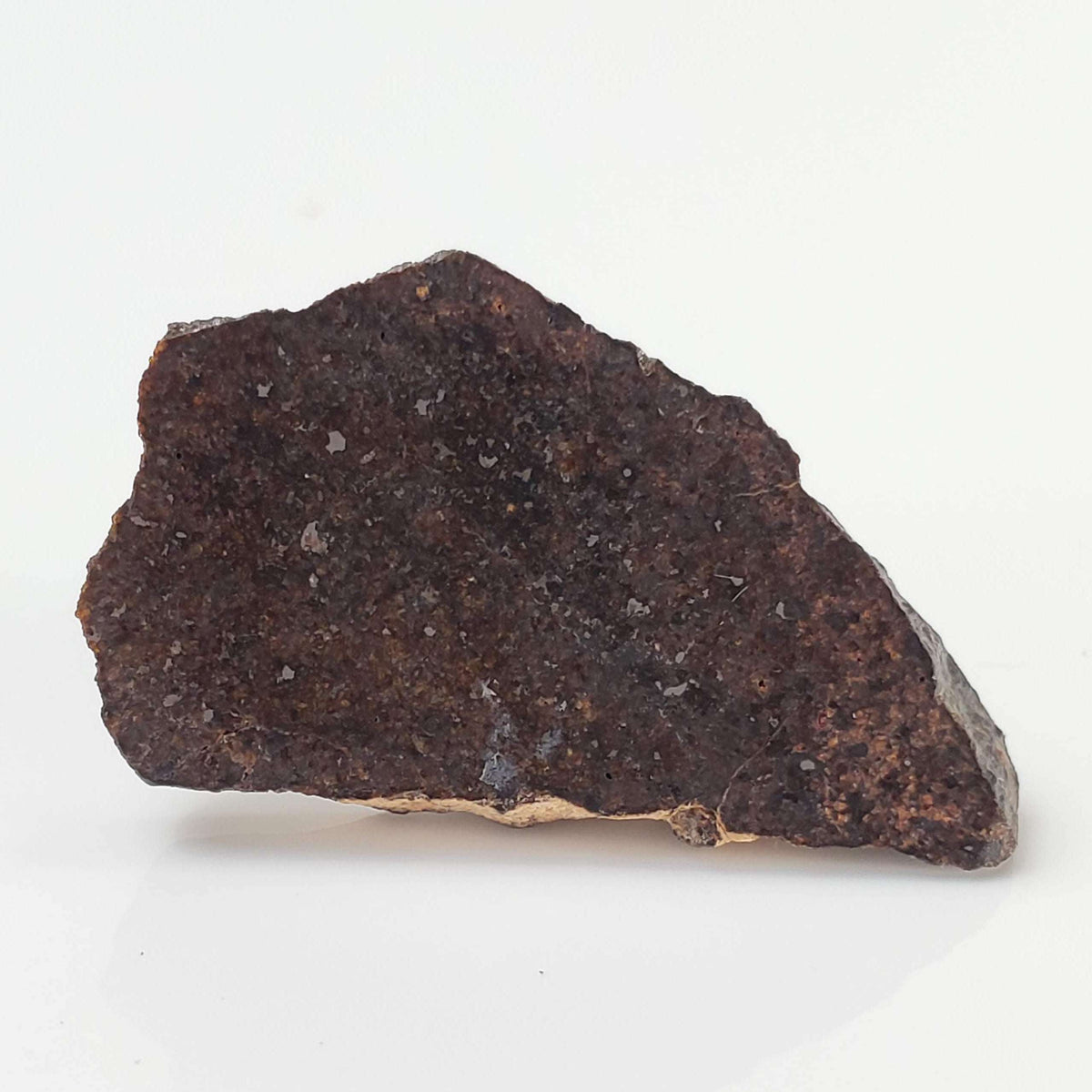 NWA 3133 Meteorite | 2.01 Gr | Slice | CV7 Primitive | One-of-a-kind Rare | Morocco 2