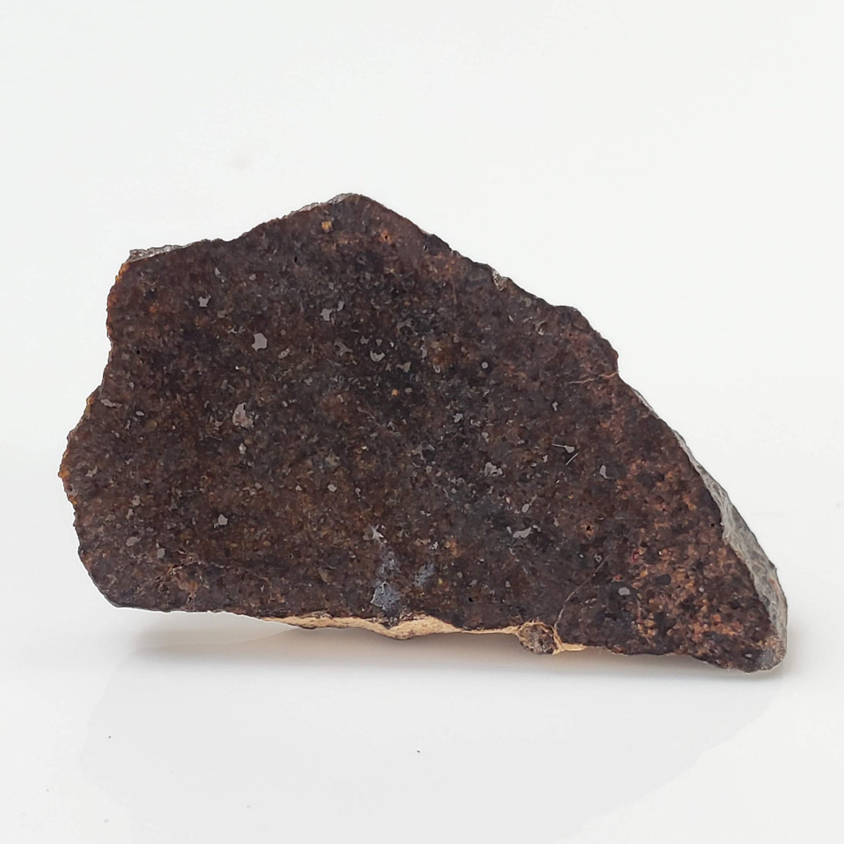  NWA 3133 Meteorite | 2.01 Gr | Slice | CV7 Primitive | One-of-a-kind Rare | Morocco 2