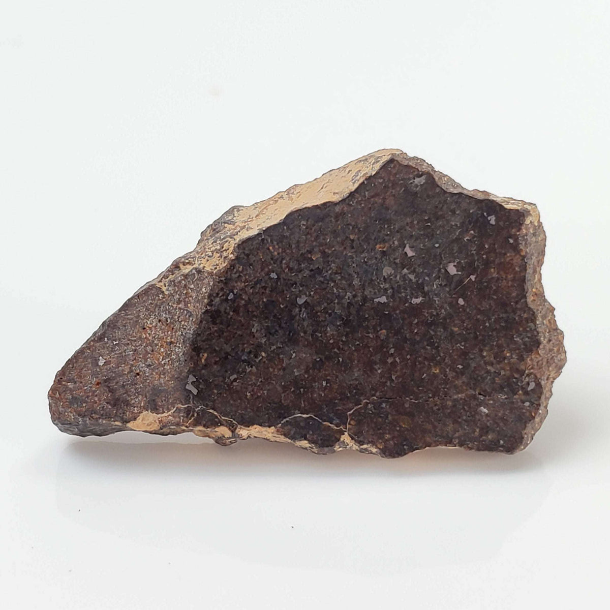  NWA 3133 Meteorite | 2.01 Gr | Slice | CV7 Primitive | One-of-a-kind Rare | Morocco 3