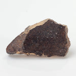  NWA 3133 Meteorite | 2.01 Gr | Slice | CV7 Primitive | One-of-a-kind Rare | Morocco 3