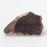  NWA 3133 Meteorite | 2.01 Gr | Slice | CV7 Primitive | One-of-a-kind Rare | Morocco 3