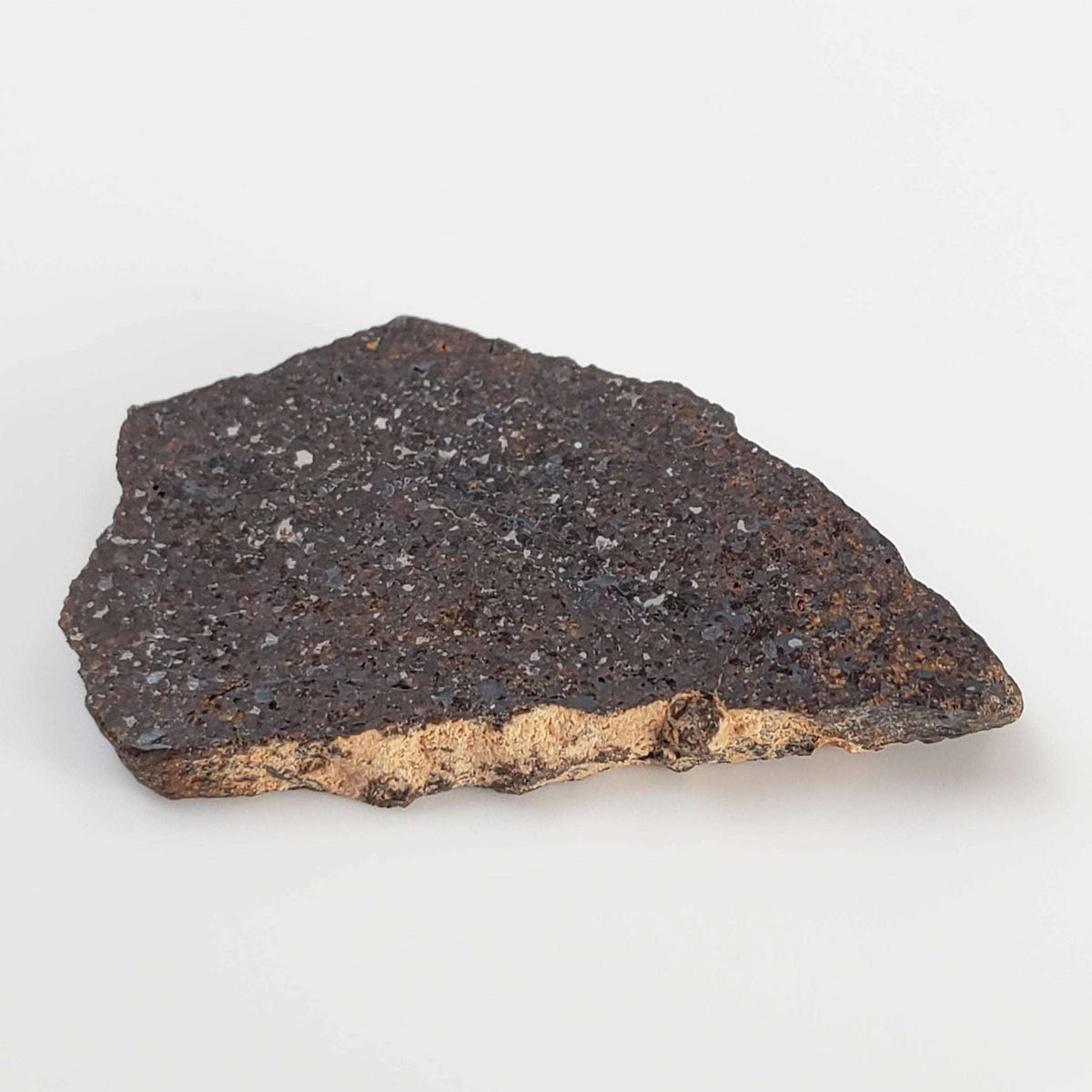  NWA 3133 Meteorite | 2.01 Gr | Slice | CV7 Primitive | One-of-a-kind Rare | Morocco 4