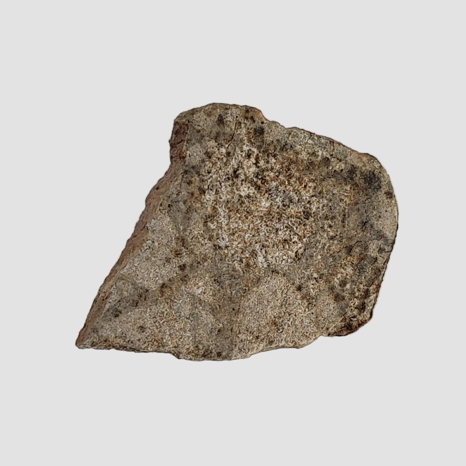  NWA 3152 Meteorite | 2.7 Grams | Part Slice | Rare Eucrite-Type 7 | Hupé Collection 1