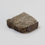  NWA 3152 Meteorite | 2.7 Grams | Part Slice | Rare Eucrite-Type 7 | Hupé Collection 2