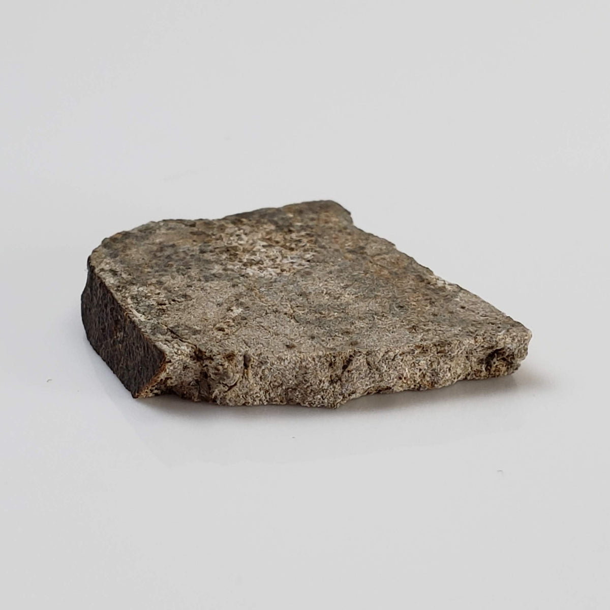  NWA 3152 Meteorite | 2.7 Grams | Part Slice | Rare Eucrite-Type 7 | Hupé Collection 3