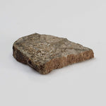  NWA 3152 Meteorite | 2.7 Grams | Part Slice | Rare Eucrite-Type 7 | Hupé Collection 4