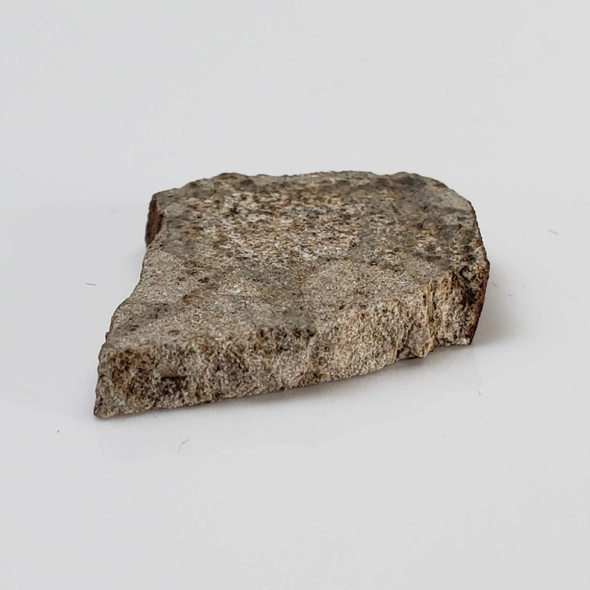  NWA 3152 Meteorite | 2.7 Grams | Part Slice | Rare Eucrite-Type 7 | Hupé Collection 5