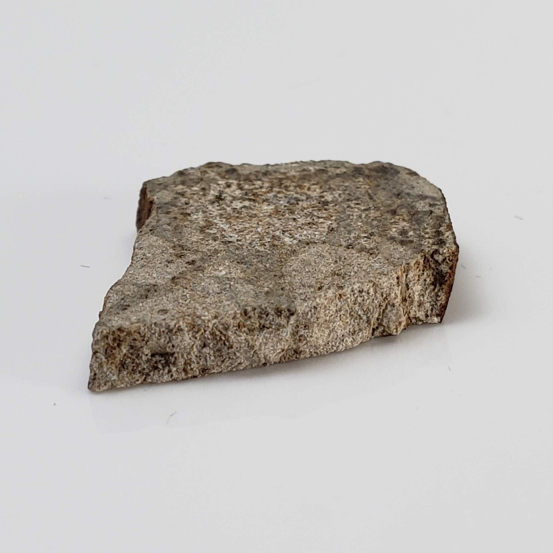  NWA 3152 Meteorite | 2.7 Grams | Part Slice | Rare Eucrite-Type 7 | Hupé Collection 5