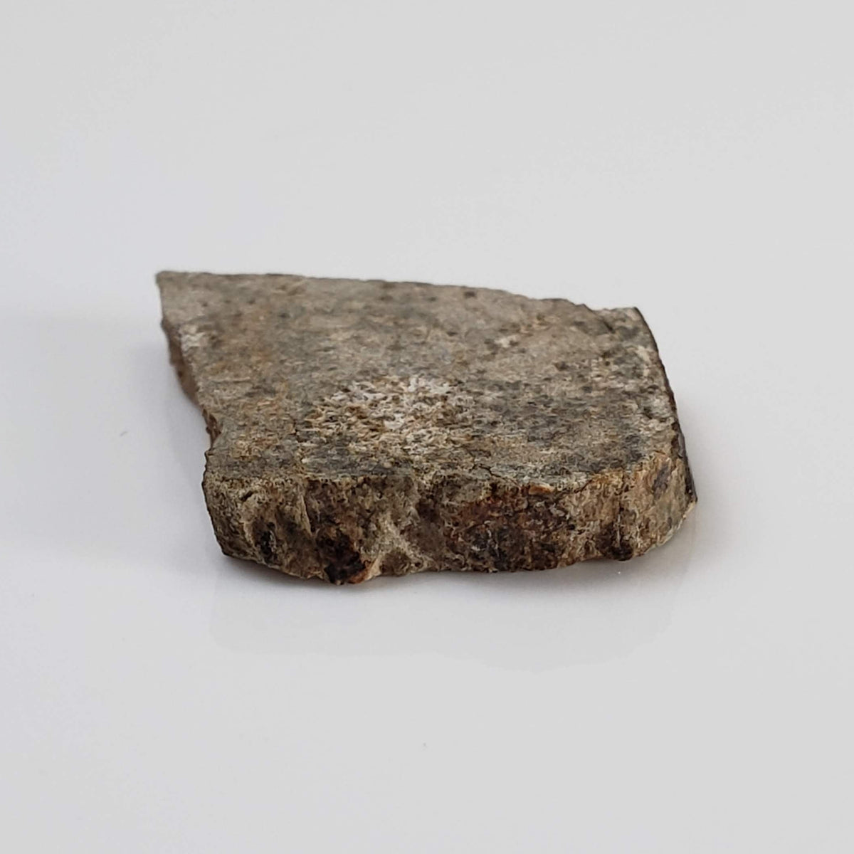  NWA 3152 Meteorite | 2.7 Grams | Part Slice | Rare Eucrite-Type 7 | Hupé Collection 6