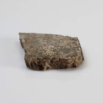  NWA 3152 Meteorite | 2.7 Grams | Part Slice | Rare Eucrite-Type 7 | Hupé Collection 6