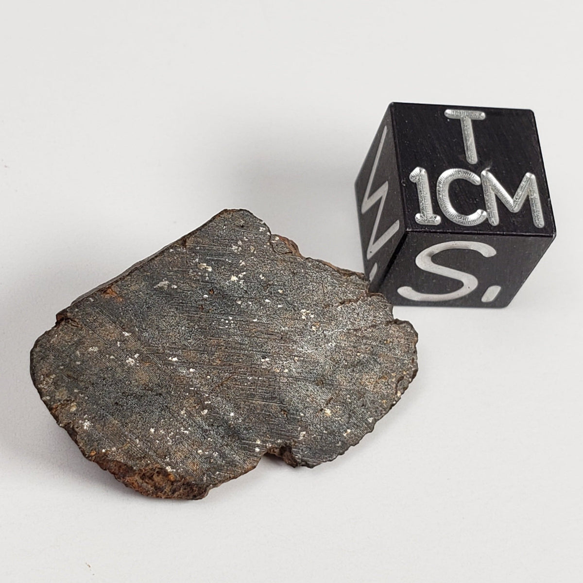  NWA 400 Meteorite | 3.65 Gr | End Cut | H5 Chondrite | Crusted | aka Oum Rokba | Morocco | SO24 