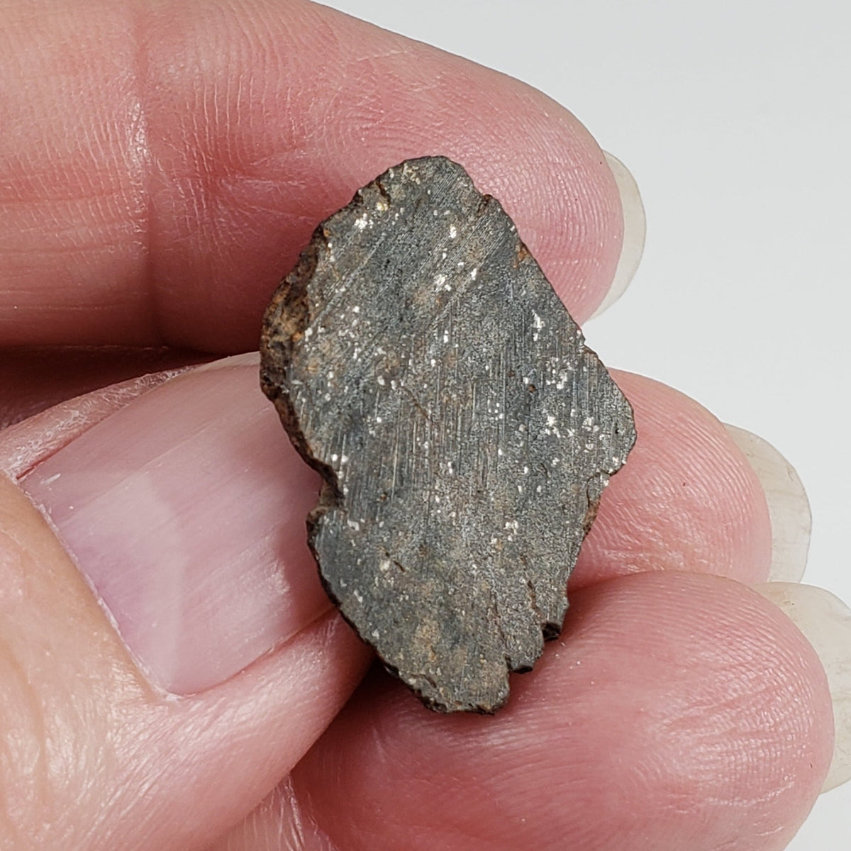 NWA 400 Meteorite | 3.65 Gr | End Cut | H5 Chondrite | Crusted | aka Oum Rokba | Morocco | SO24 2