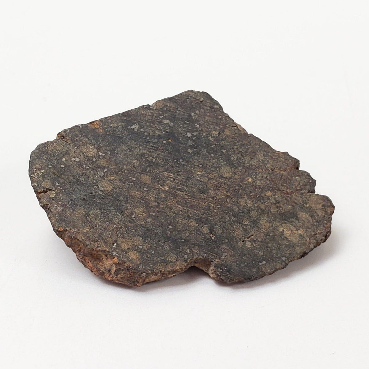  NWA 400 Meteorite | 3.65 Gr | End Cut | H5 Chondrite | Crusted | aka Oum Rokba | Morocco | SO24 3