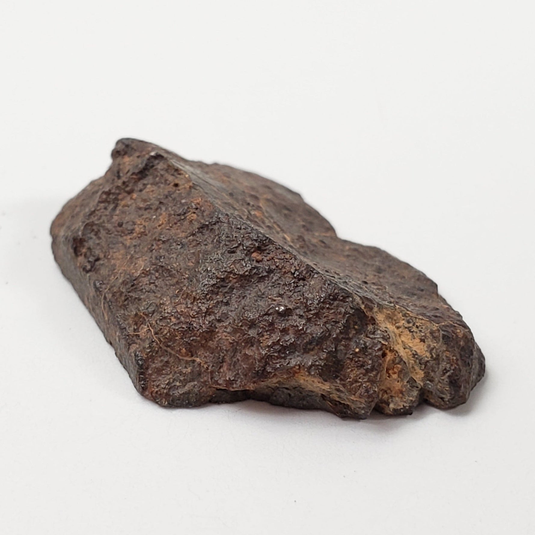  NWA 400 Meteorite | 3.65 Gr | End Cut | H5 Chondrite | Crusted | aka Oum Rokba | Morocco | SO24 4