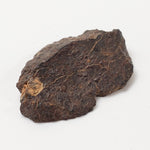  NWA 400 Meteorite | 3.65 Gr | End Cut | H5 Chondrite | Crusted | aka Oum Rokba | Morocco | SO24 5