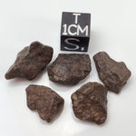  NWA 4293 Meteorite | 1 to 2 Grams | Individual | H6 Chondrite | Gem Jar 