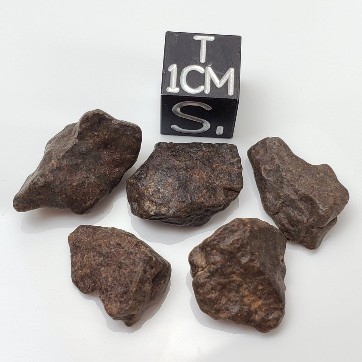  NWA 4293 Meteorite | 1 to 2 Grams | Individual | H6 Chondrite | Gem Jar 