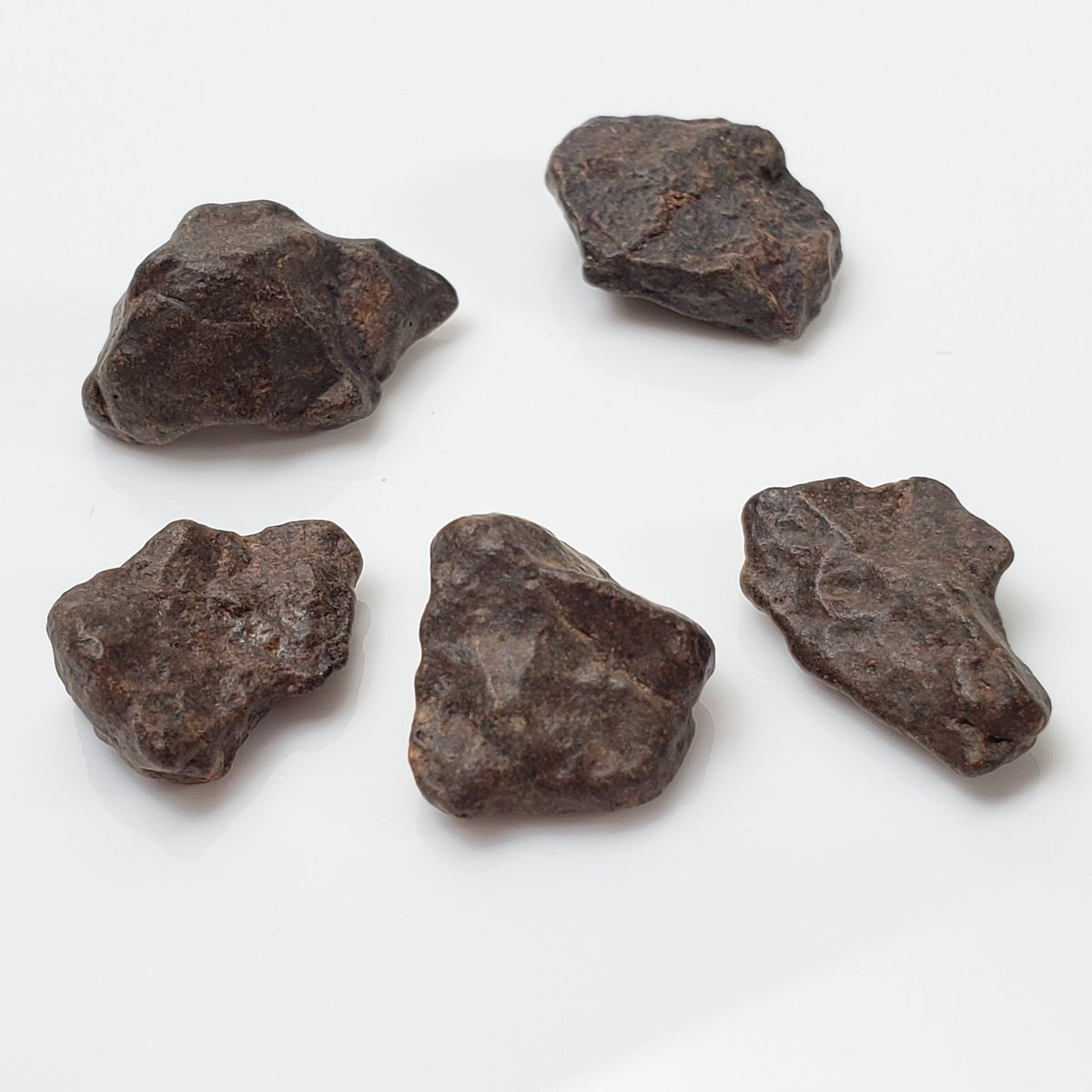  NWA 4293 Meteorite | 1 to 2 Grams | Individual | H6 Chondrite | Gem Jar 1