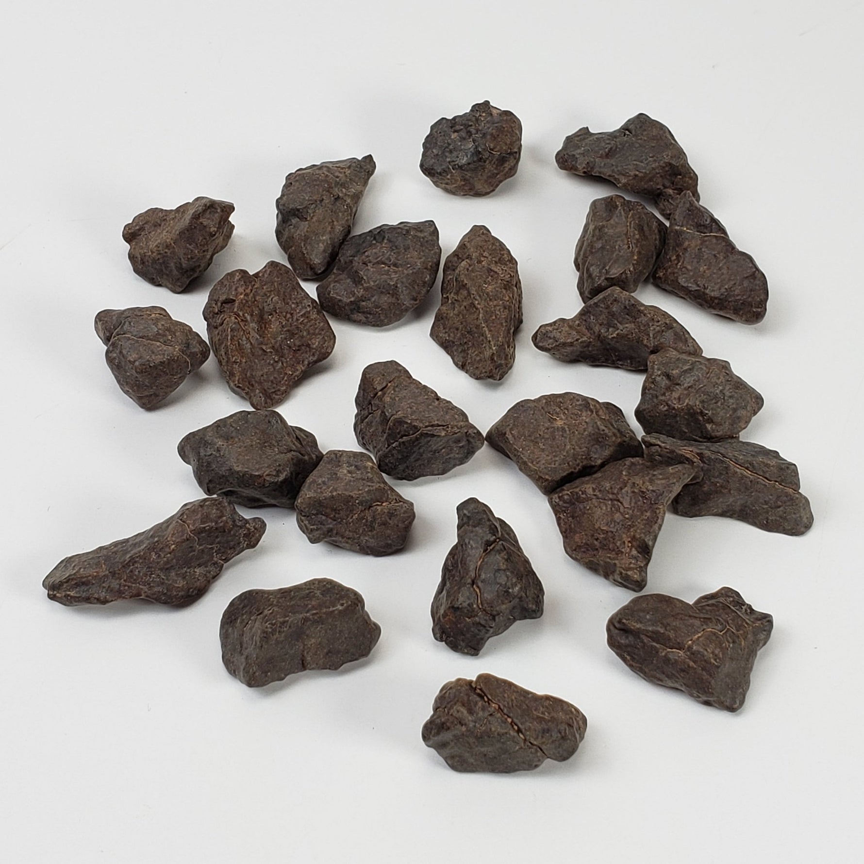  NWA 4293 Meteorite | 100 gram Lot | Individual | H6 Chondrite 1