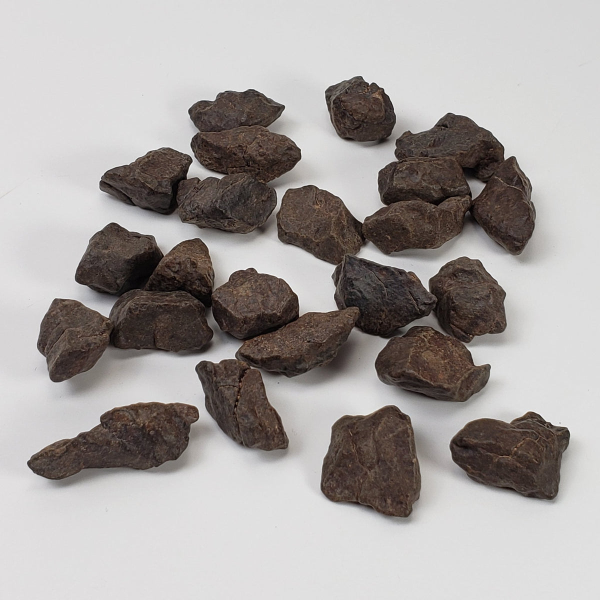  NWA 4293 Meteorite | 100 gram Lot | Individual | H6 Chondrite 2