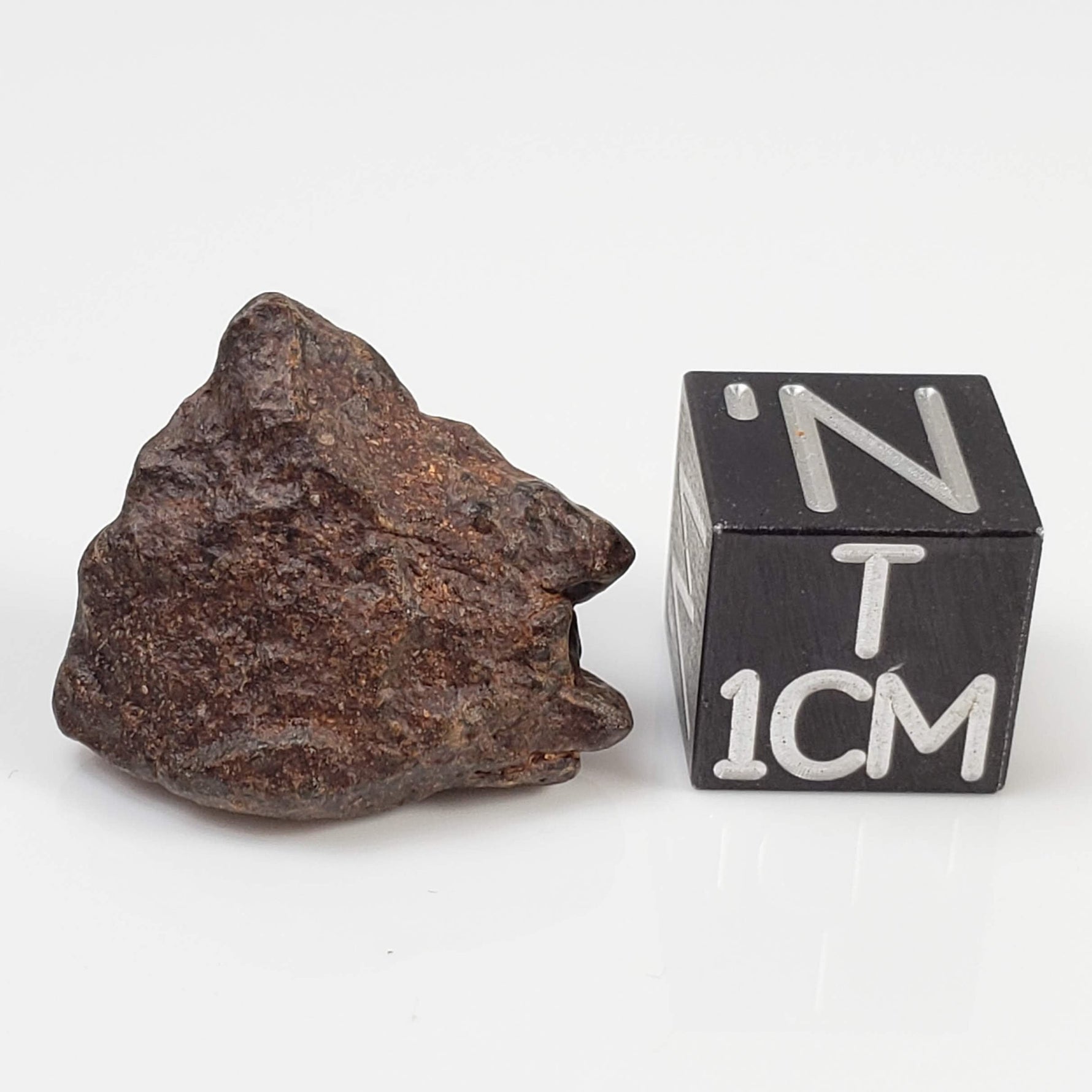  NWA 4293 Meteorite | 3.36 Grams | Individual | H6 Chondrite | SO24 