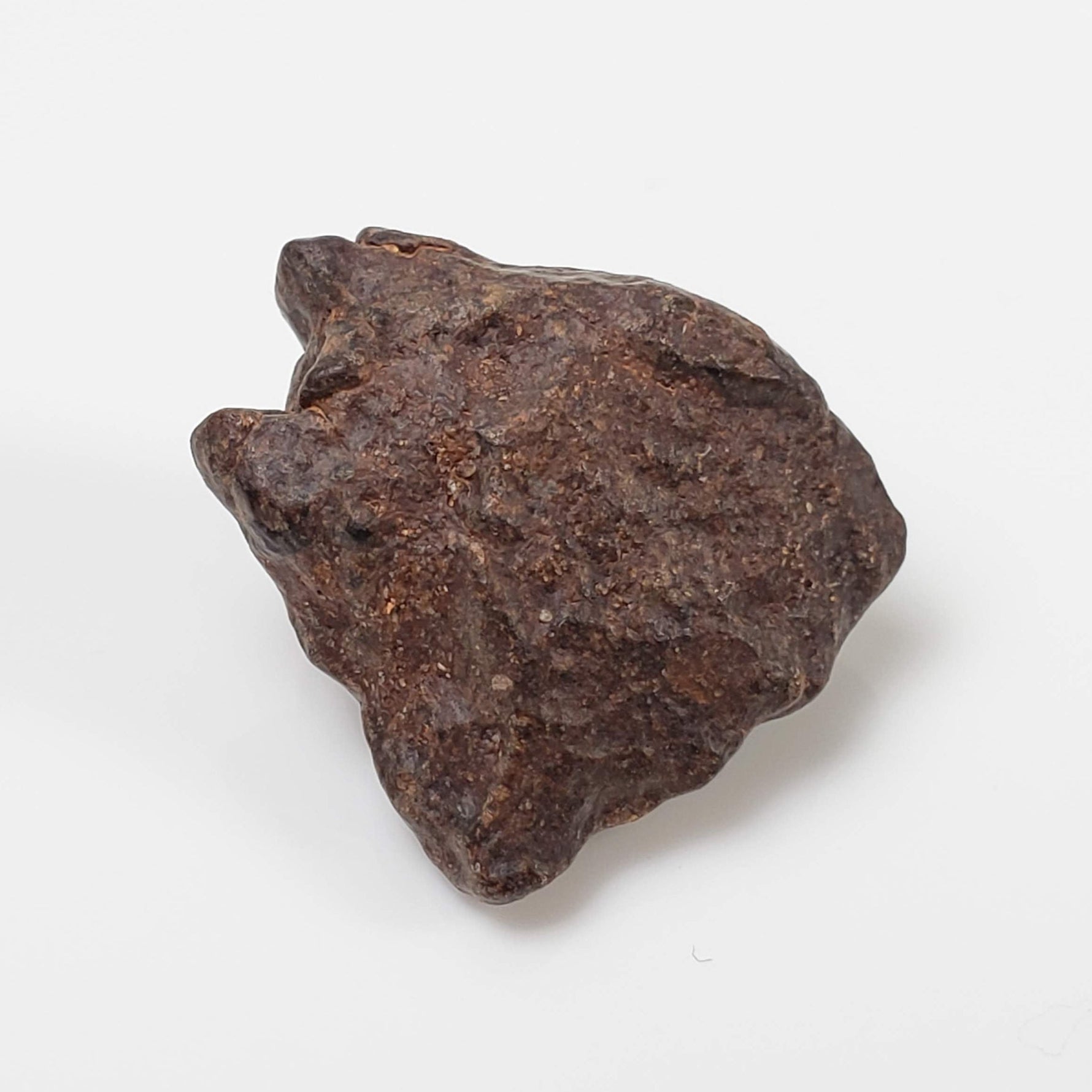  NWA 4293 Meteorite | 3.36 Grams | Individual | H6 Chondrite | SO24 4