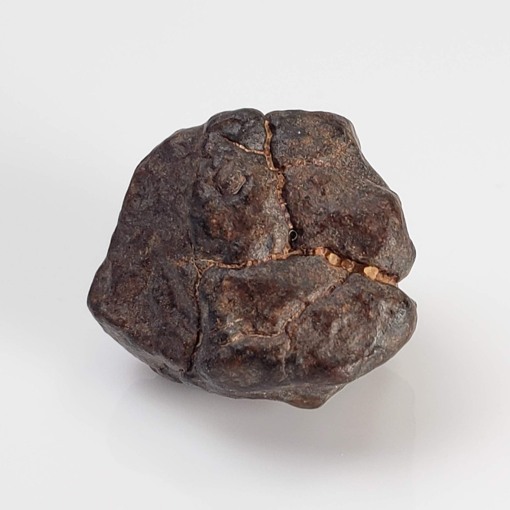  NWA 4293 Meteorite | 4.38 Grams | Individual | H6 Chondrite 3