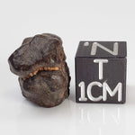  NWA 4293 Meteorite | 4.38 Grams | Individual | H6 Chondrite 