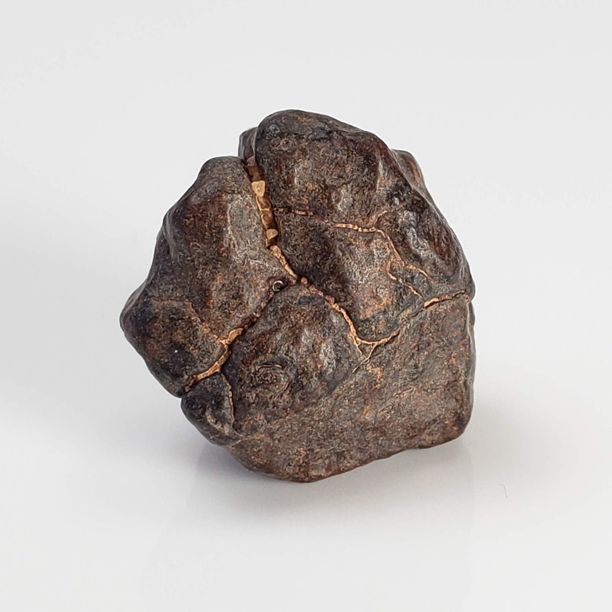  NWA 4293 Meteorite | 4.38 Grams | Individual | H6 Chondrite 1
