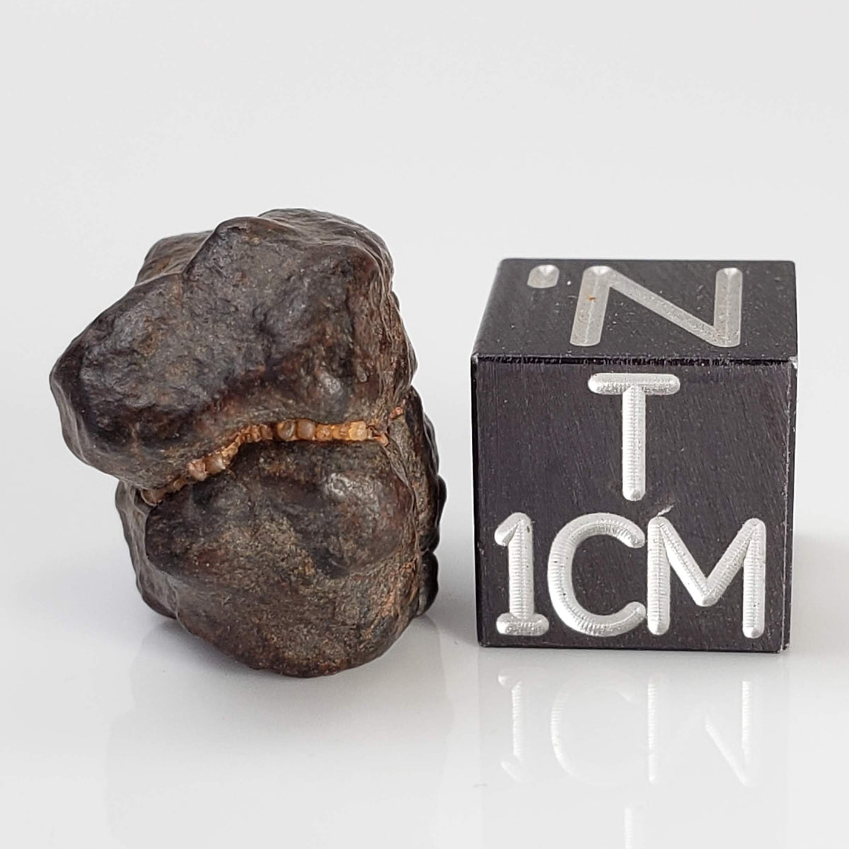  NWA 4293 Meteorite | 4.38 Grams | Individual | H6 Chondrite 