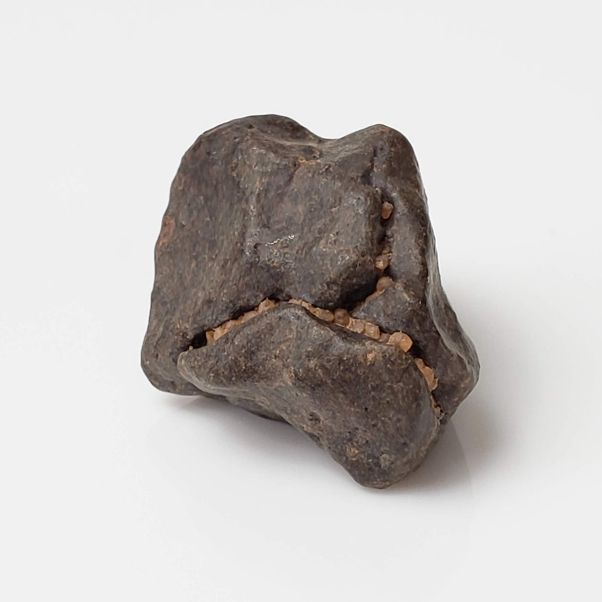  NWA 4293 Meteorite | 4 Grams | Individual | H6 Chondrite 4