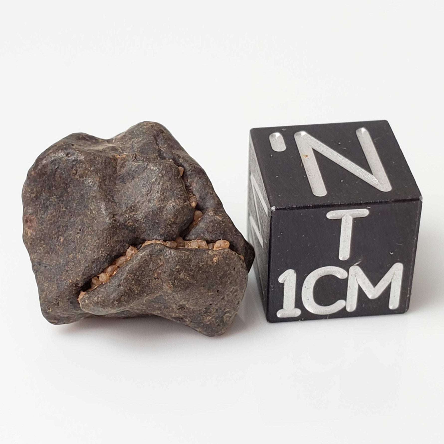  NWA 4293 Meteorite | 4 Grams | Individual | H6 Chondrite 