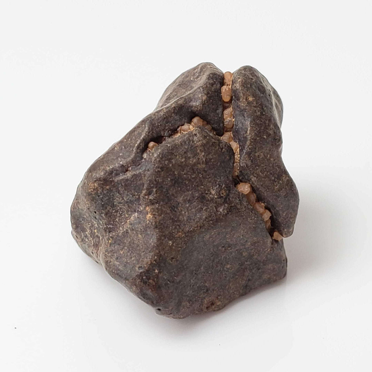  NWA 4293 Meteorite | 4 Grams | Individual | H6 Chondrite 2