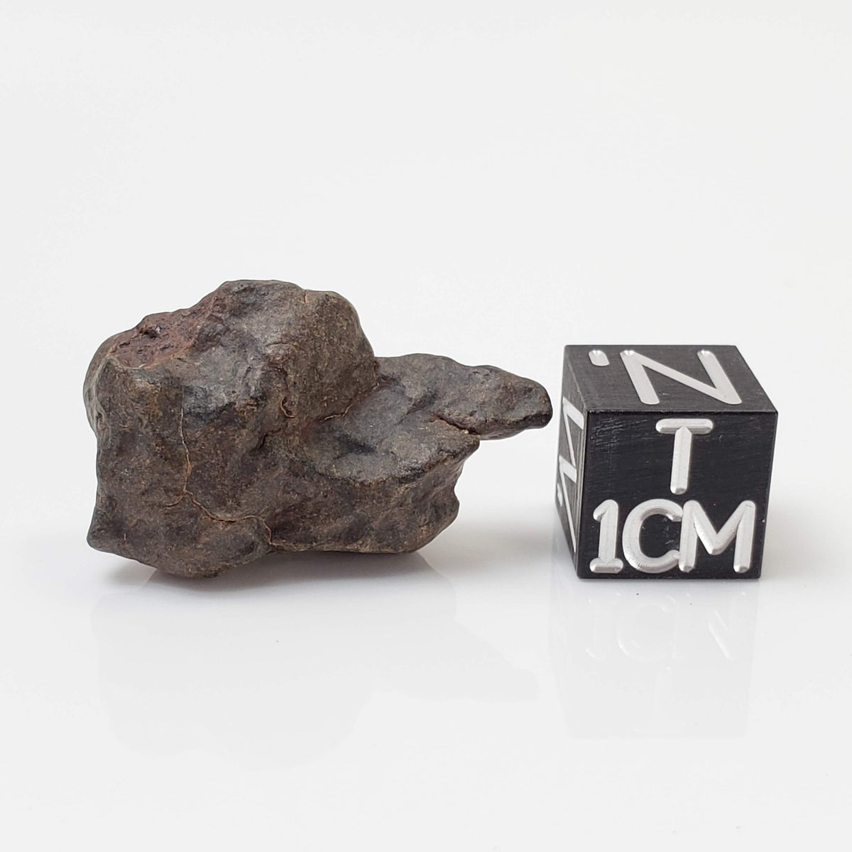  NWA 4293 Meteorite | 5.2 Grams | Individual | H6 Chondrite 