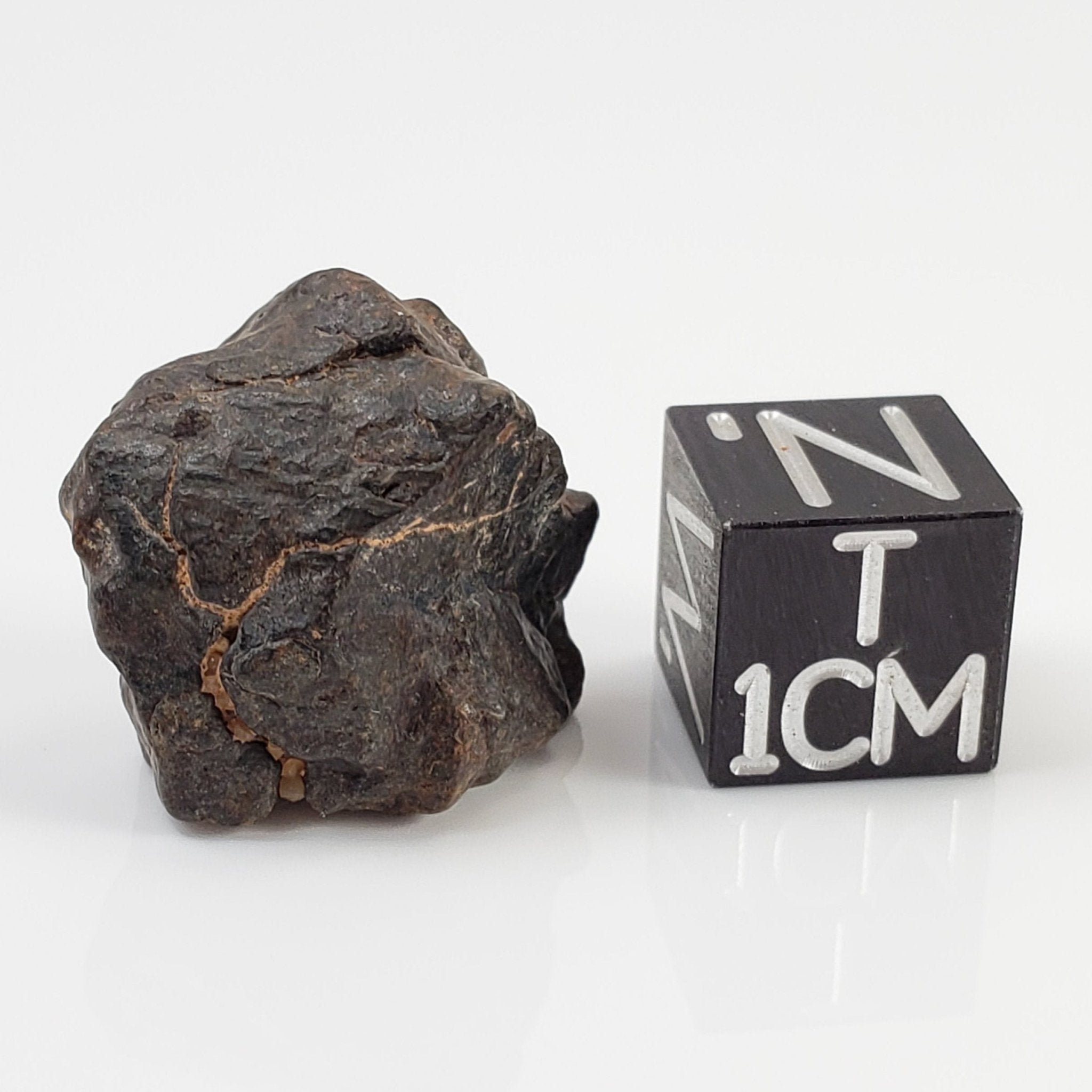 NWA 4293 Meteorite | 5.3 Grams | Individual | H6 Chondrite | SO24