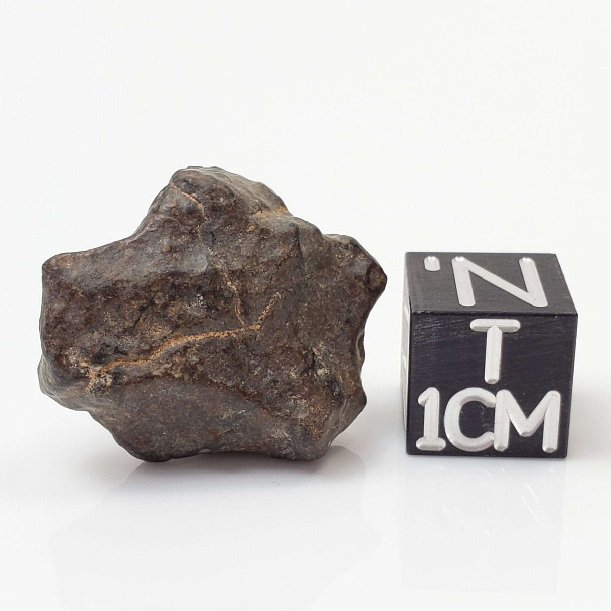  NWA 4293 Meteorite | 5.5 Grams | Individual | H6 Chondrite 