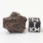 NWA 4293 Meteorite | 5.5 Grams | Individual | H6 Chondrite 
