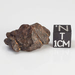  NWA 4293 Meteorite | 7.61 Grams | Individual | H6 Chondrite 