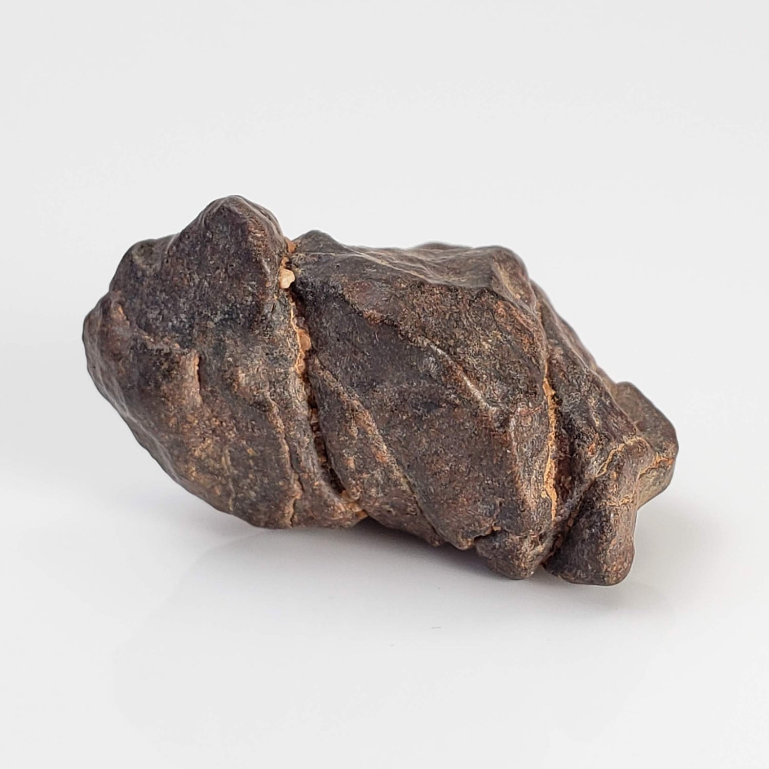  NWA 4293 Meteorite | 7.61 Grams | Individual | H6 Chondrite 1