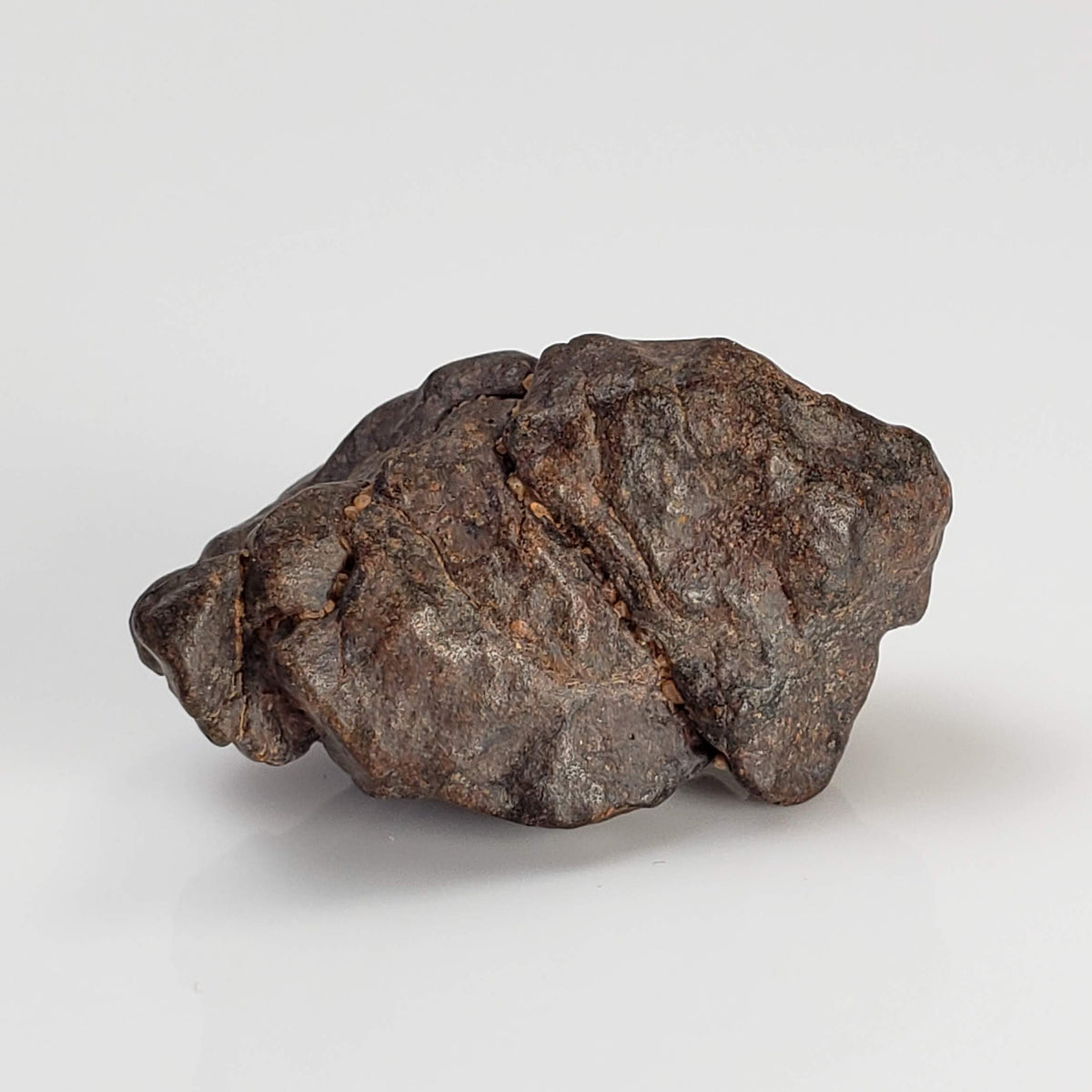  NWA 4293 Meteorite | 7.61 Grams | Individual | H6 Chondrite 3