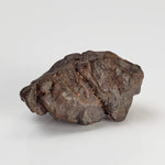  NWA 4293 Meteorite | 7.61 Grams | Individual | H6 Chondrite 3